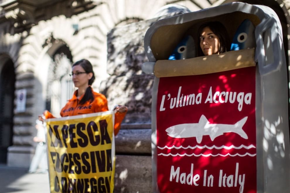 Greenpeace, blitz contro la pesca eccessiva