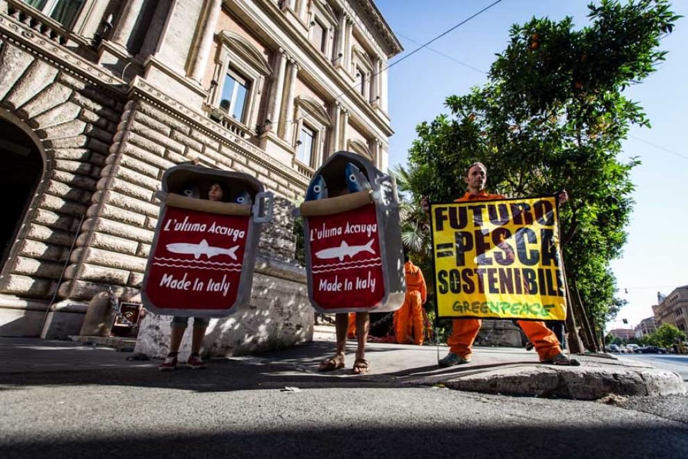 Greenpeace, blitz contro la pesca eccessiva