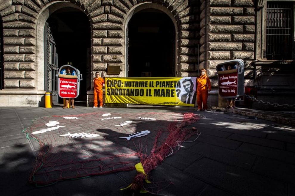 Greenpeace, blitz contro la pesca eccessiva