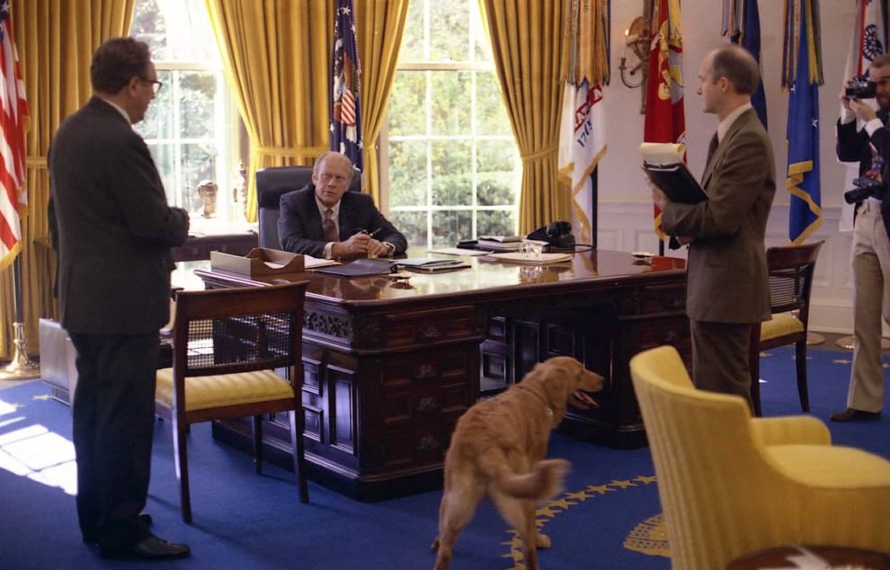 Una giornata da cani in ufficio