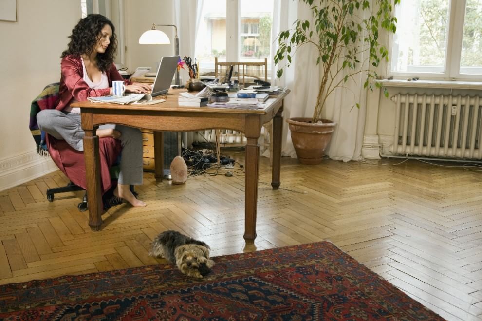 Una giornata da cani in ufficio