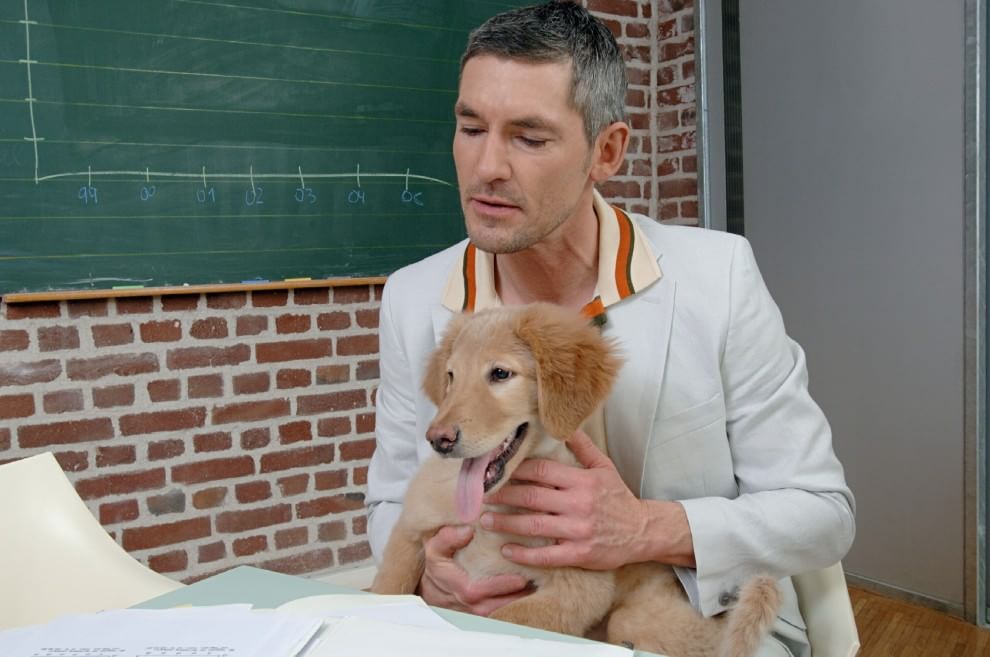 Una giornata da cani in ufficio