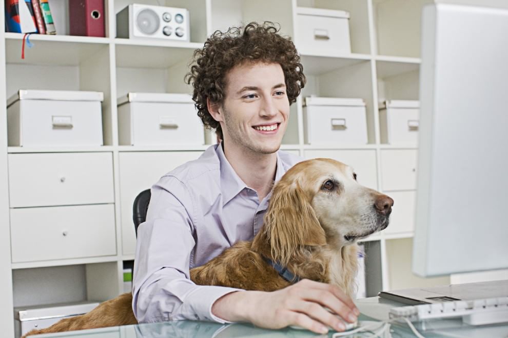Una giornata da cani in ufficio
