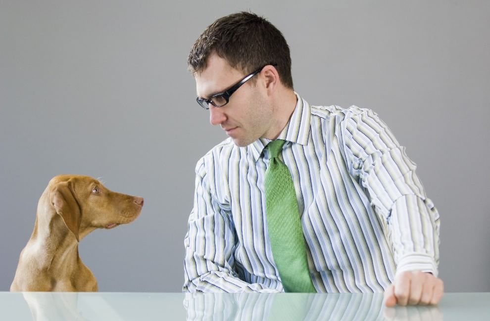 Una giornata da cani in ufficio
