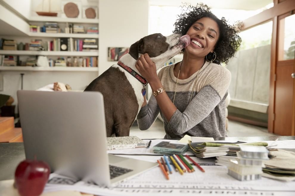 Una giornata da cani in ufficio