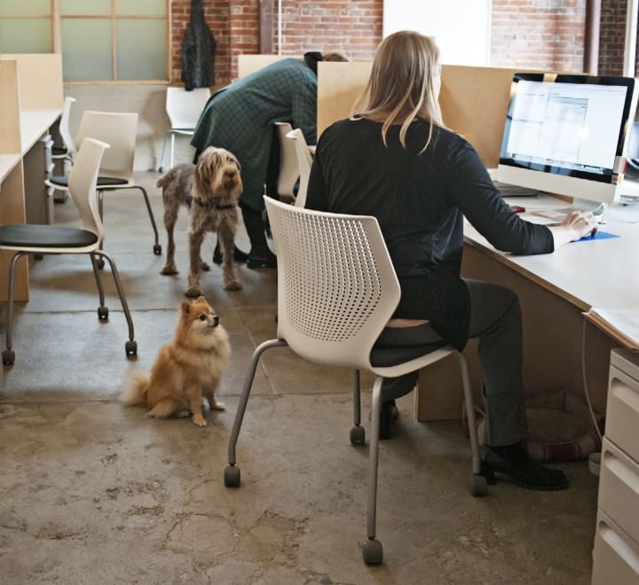 Una giornata da cani in ufficio