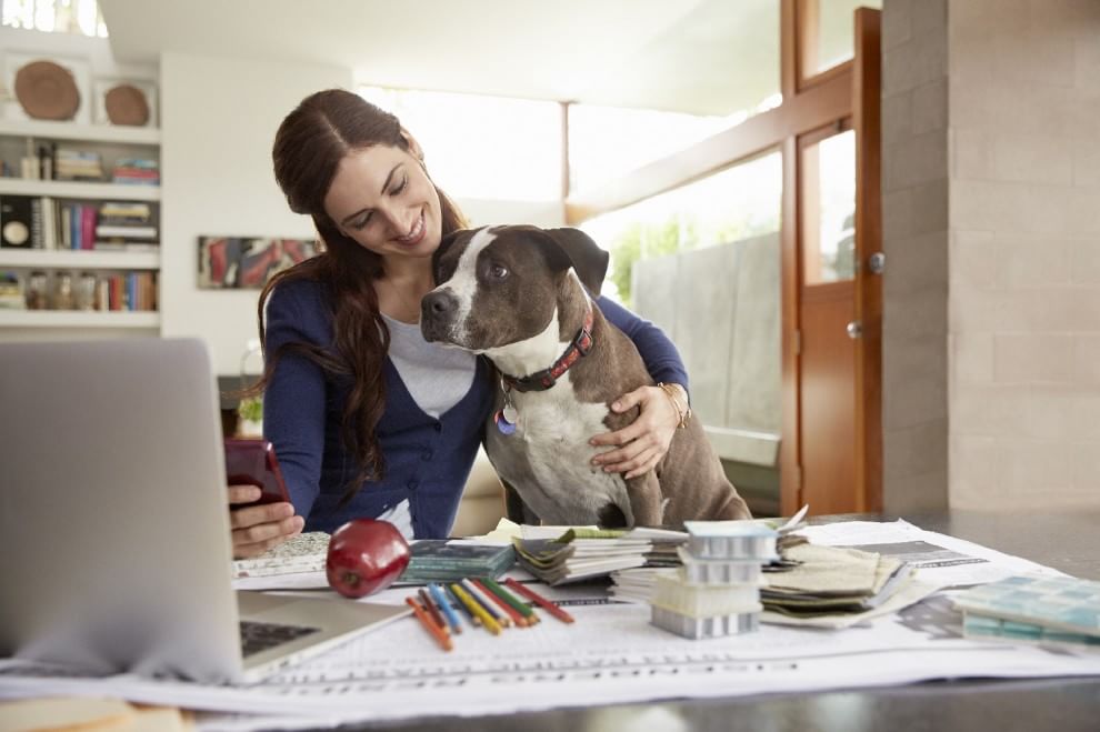 Una giornata da cani in ufficio