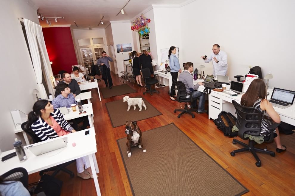 Una giornata da cani in ufficio