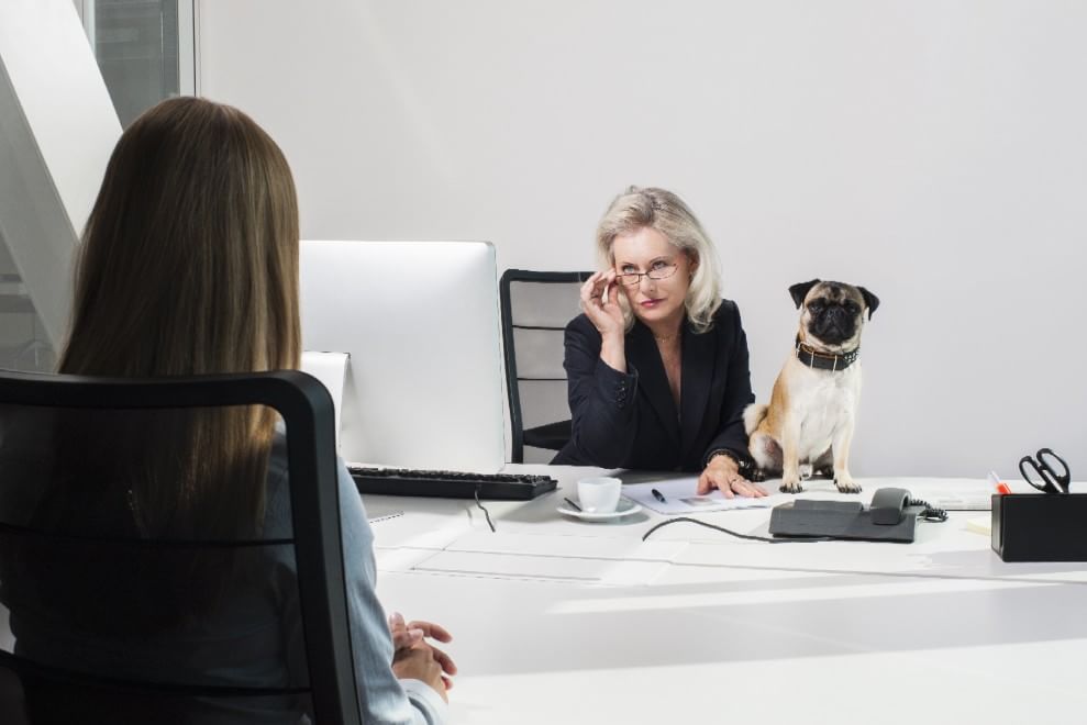 Una giornata da cani in ufficio