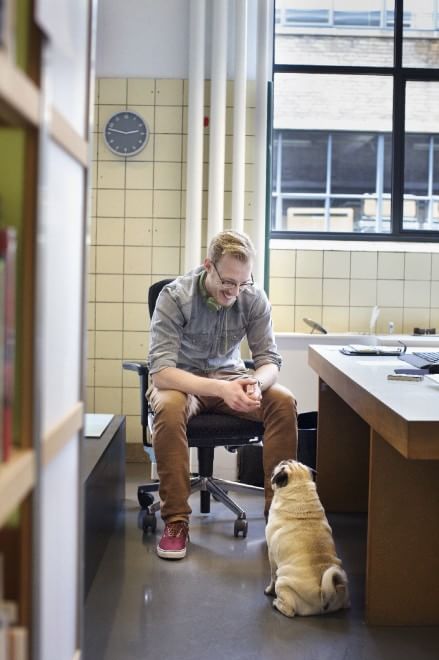 Una giornata da cani in ufficio
