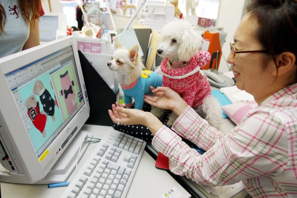 Una giornata da cani in ufficio