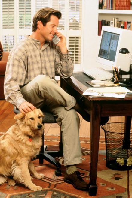 Una giornata da cani in ufficio