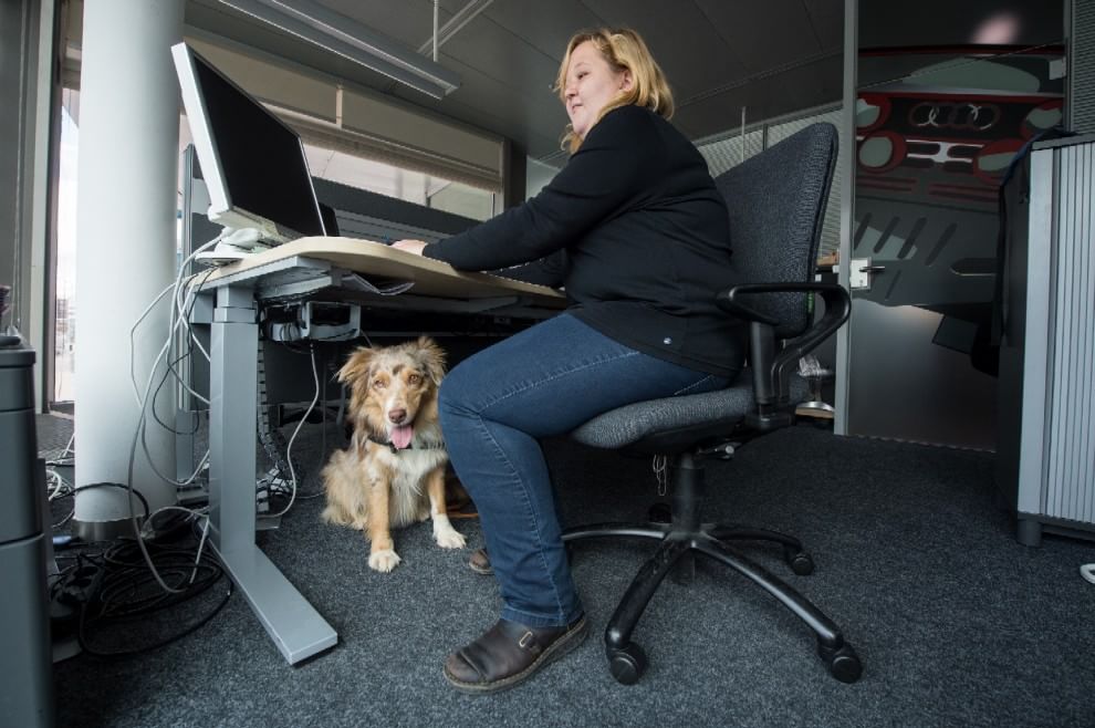 Una giornata da cani in ufficio