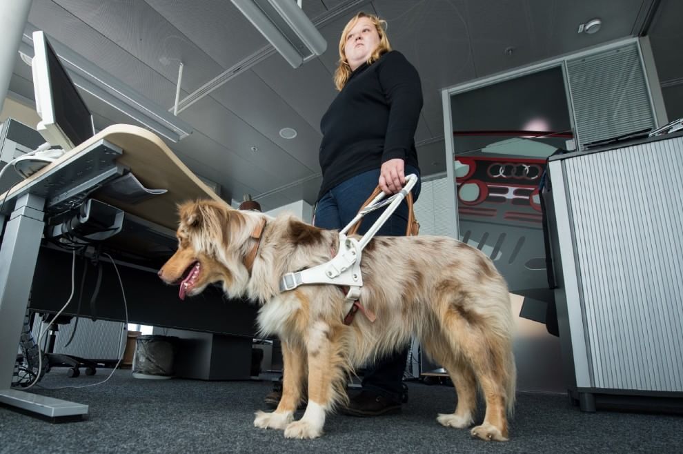 Una giornata da cani in ufficio