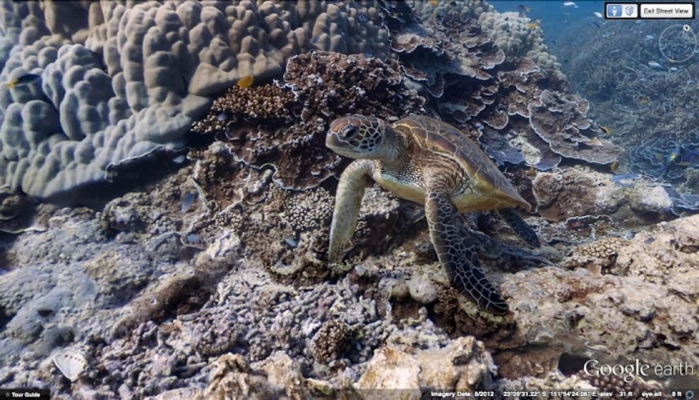 Google Earth compie 10 anni: la Terra vista dall'alto