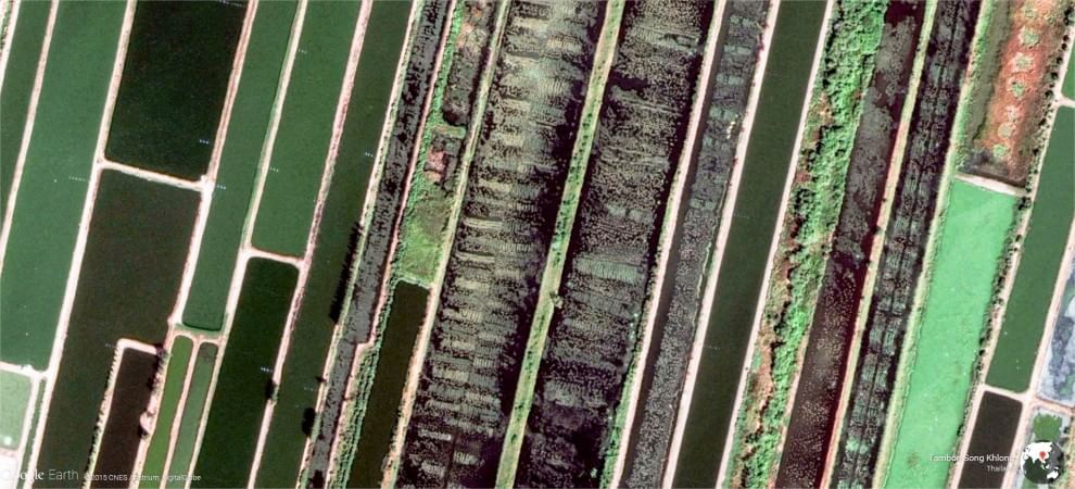 Google Earth compie 10 anni: la Terra vista dall'alto