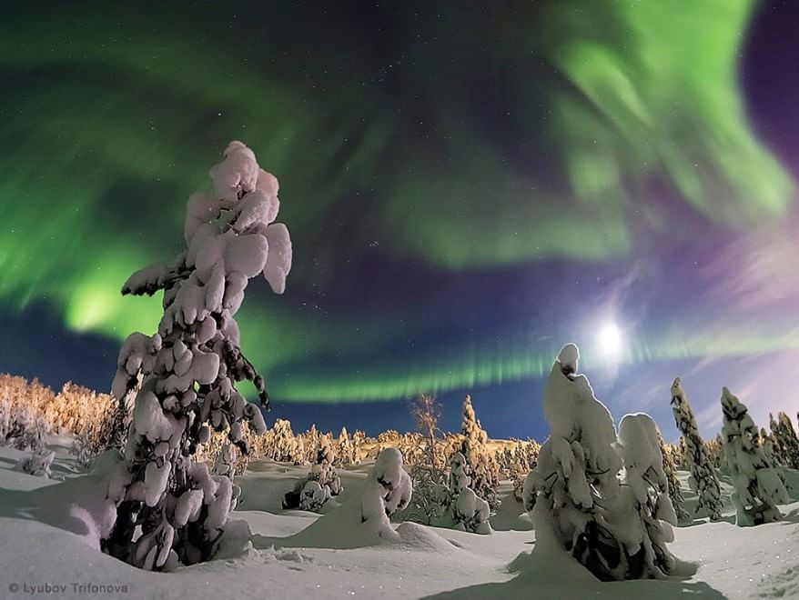 Quando il cielo di notte toglie il fiato: i vincitori dell'Earth and Sky Photo Contest