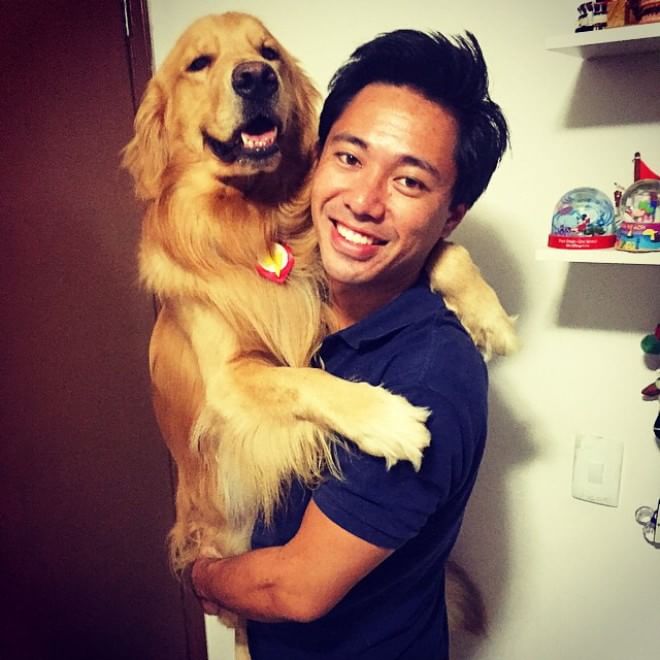 Bob, il golden retriever sedotto da un criceto e otto pappagallini