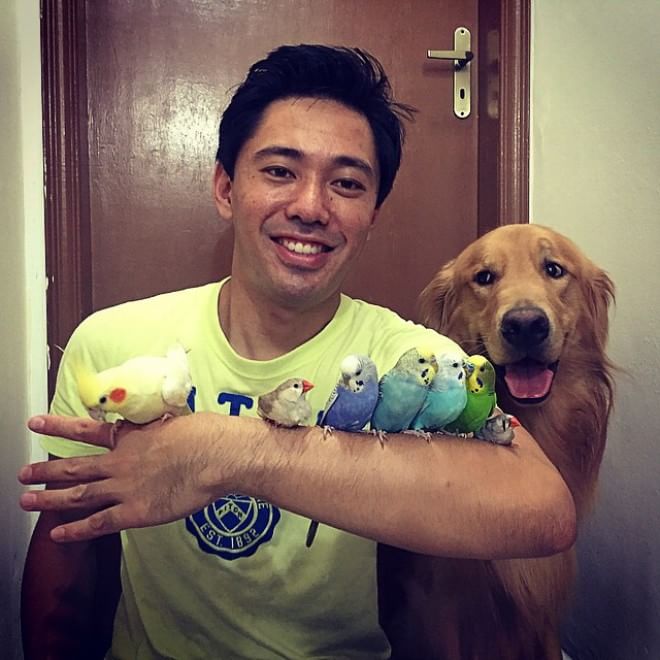 Bob, il golden retriever sedotto da un criceto e otto pappagallini