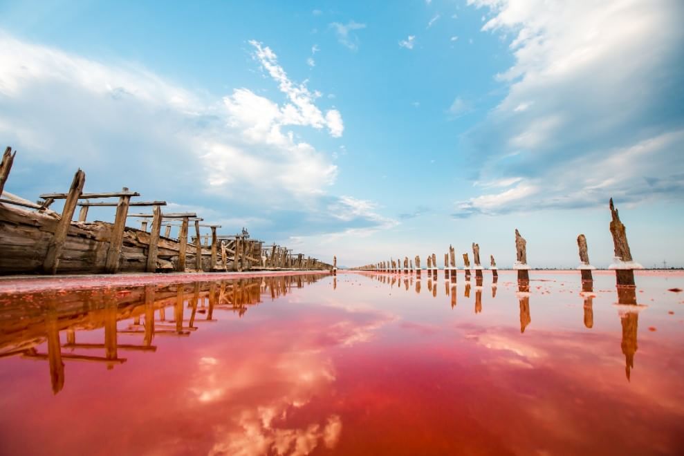 Crimea, miracoli della natura: il lago si tinge di rosa