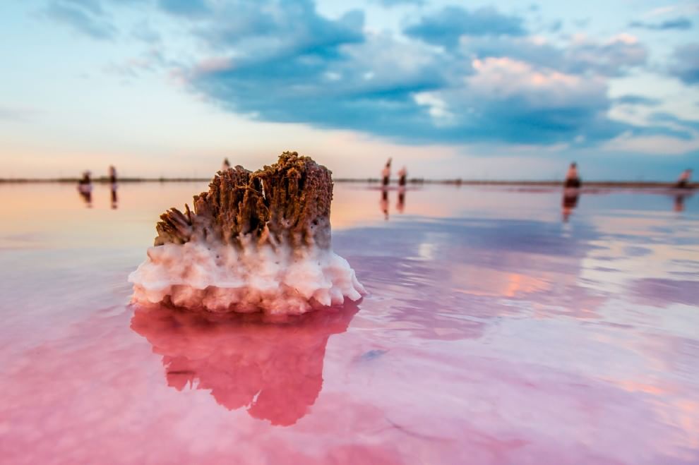 Crimea, miracoli della natura: il lago si tinge di rosa