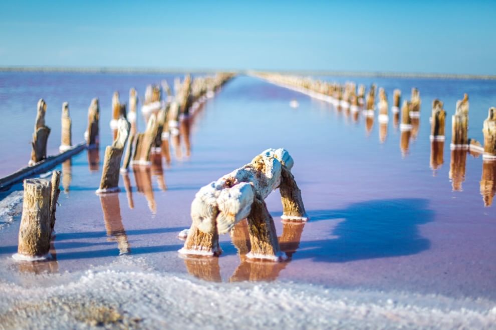 Crimea, miracoli della natura: il lago si tinge di rosa