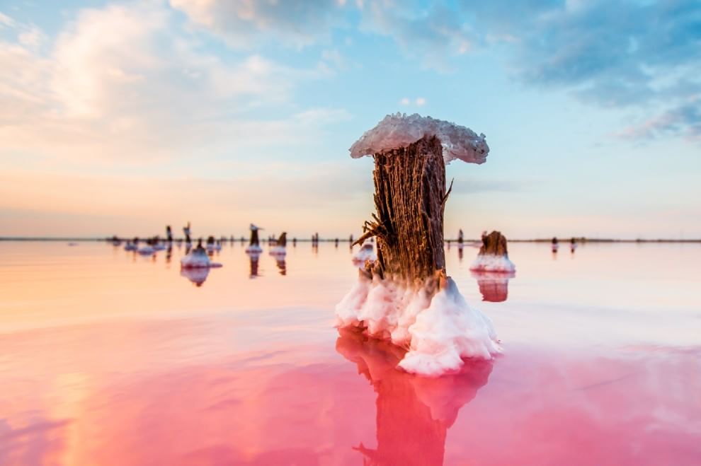 Crimea, miracoli della natura: il lago si tinge di rosa