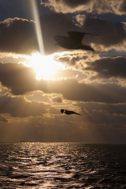 L'orizzonte magico: il sole incontra il mare