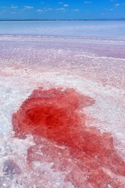 Turchia, il lago salato si tinge di rosso 