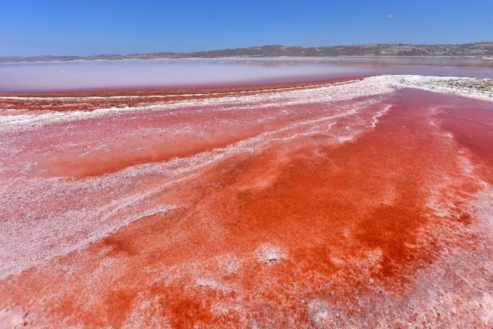 Turchia, il lago salato si tinge di rosso 