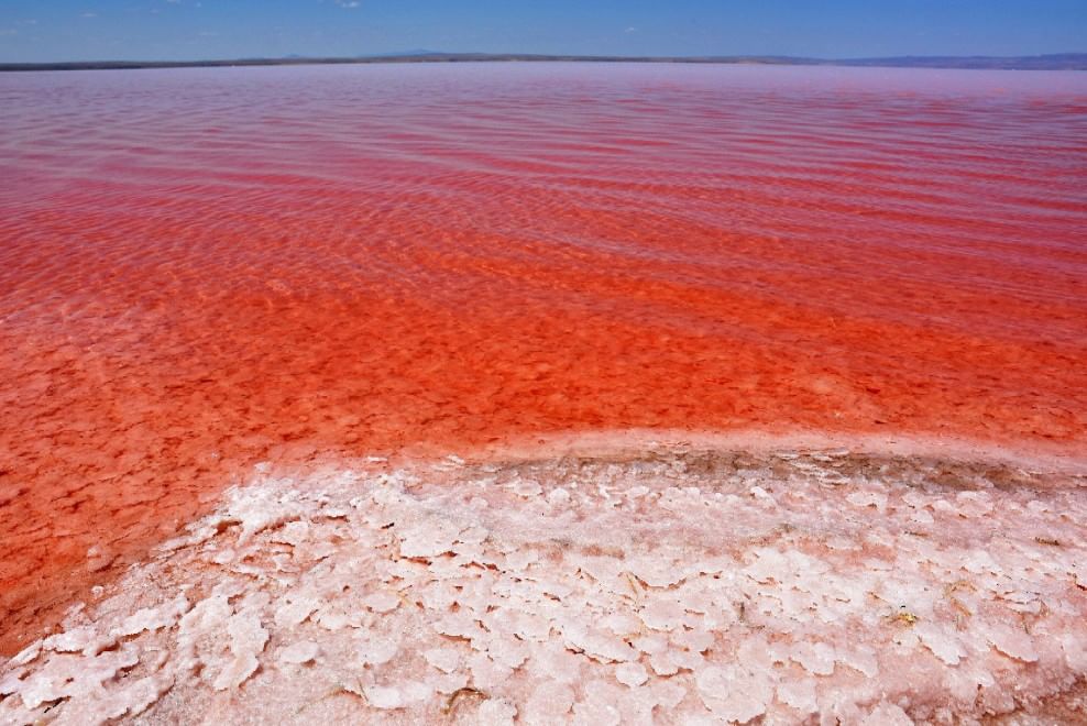 Turchia, il lago salato si tinge di rosso 