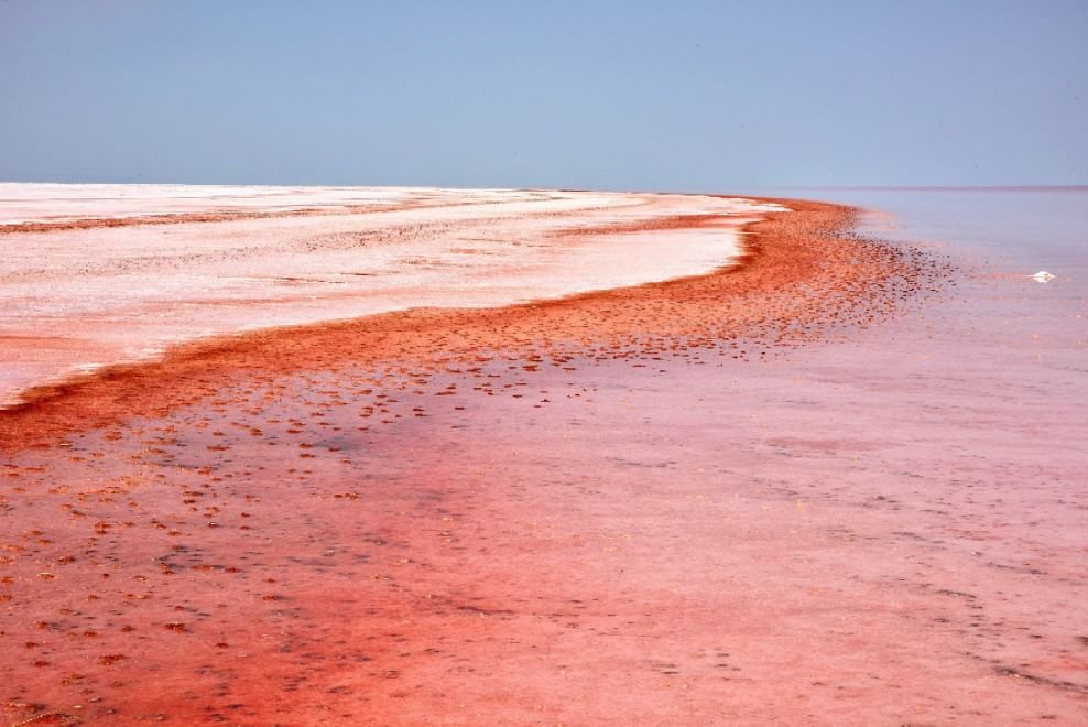 Turchia, il lago salato si tinge di rosso 