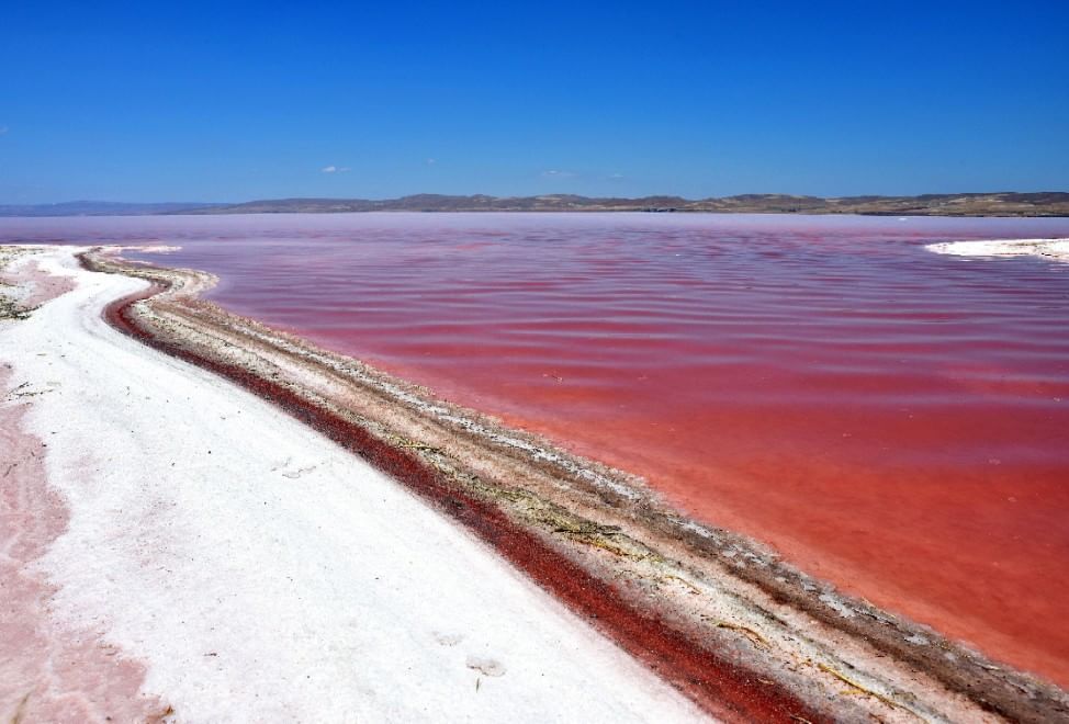 Turchia, il lago salato si tinge di rosso 