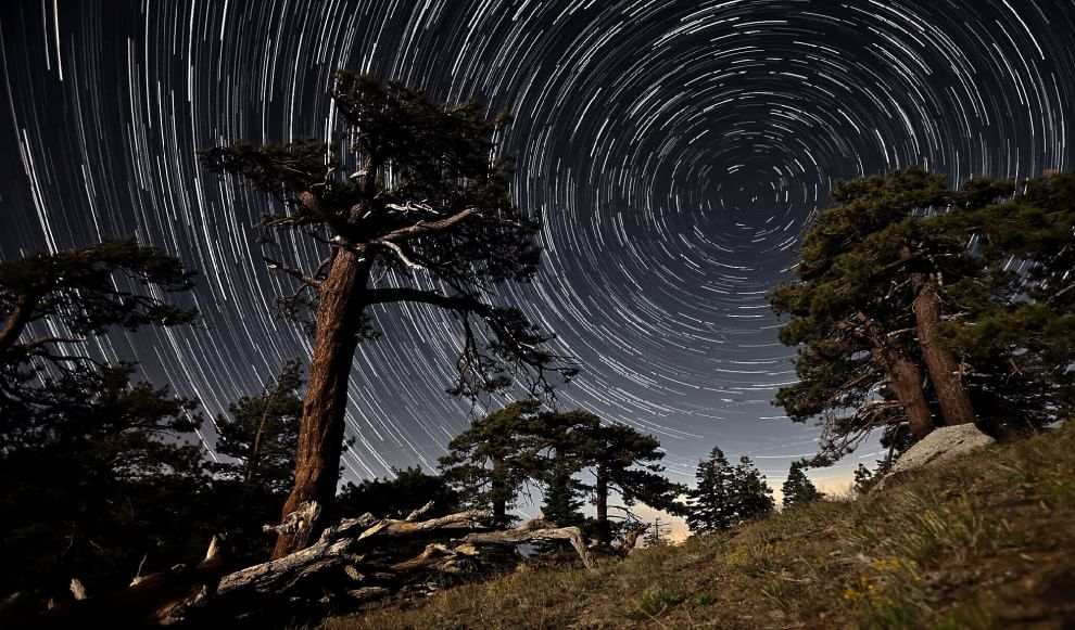La notte stellata dà spettacolo: inviateci le vostre foto