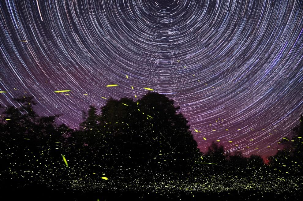 La notte stellata dà spettacolo: inviateci le vostre foto