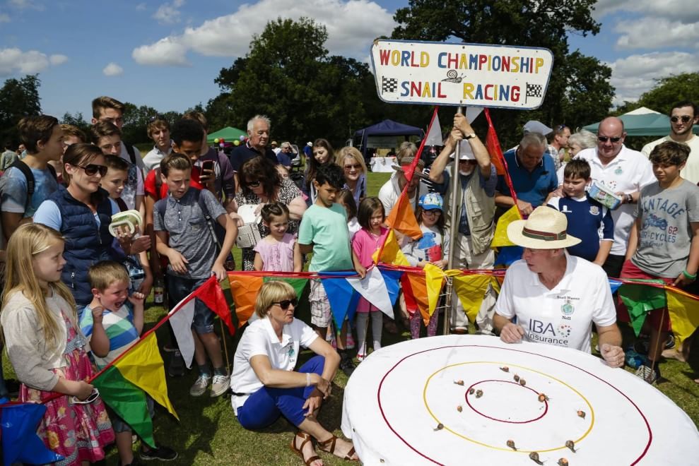 Corsa delle lumache, in Inghilterra il campionato mondiale
