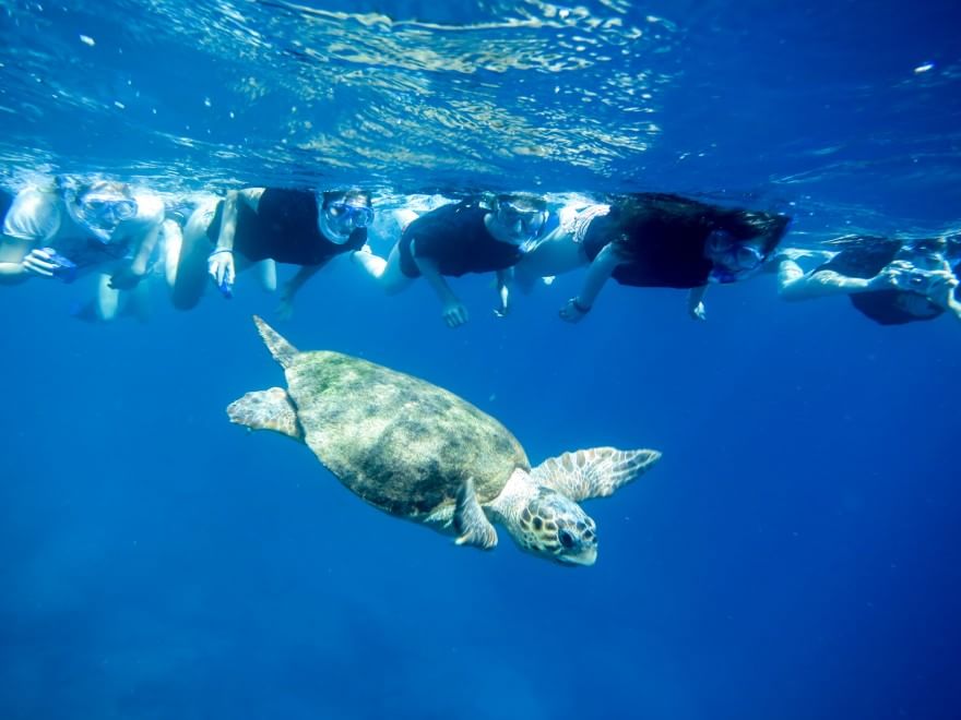Aree marine protette, sei buoni motivi per tutelarle