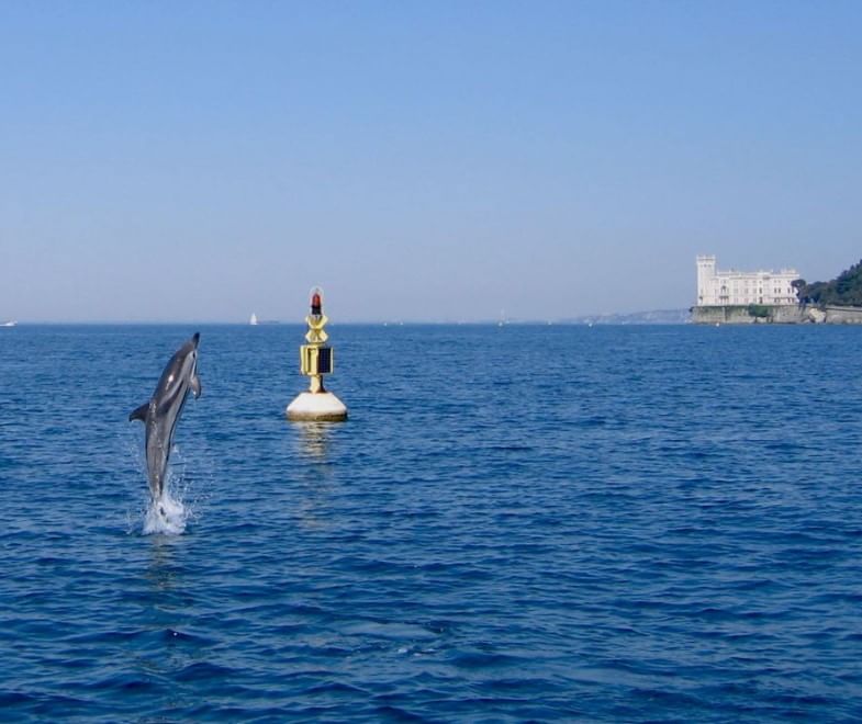 Aree marine protette, sei buoni motivi per tutelarle
