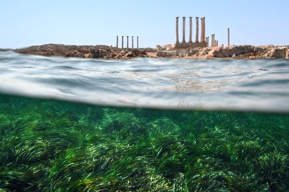 Aree marine protette, sei buoni motivi per tutelarle