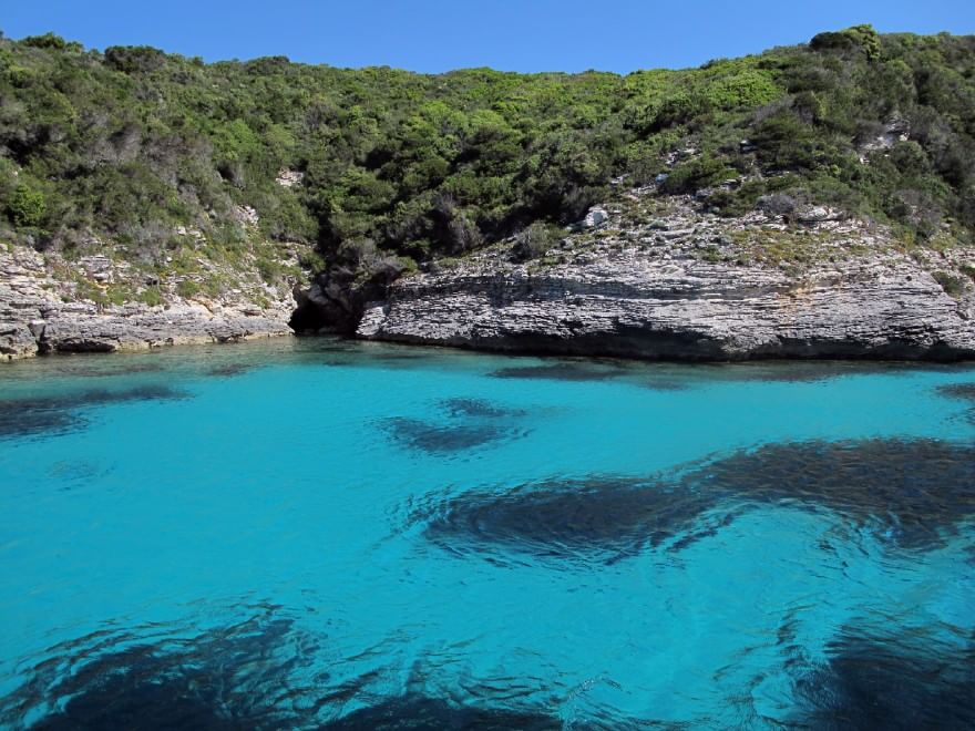 Aree marine protette, sei buoni motivi per tutelarle