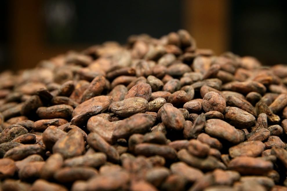 Dal miele alla curcuma, dieci alimenti da provare per prevenire le malattie
