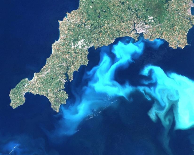 Quei "vagabondi" invisibili che popolano gli oceani