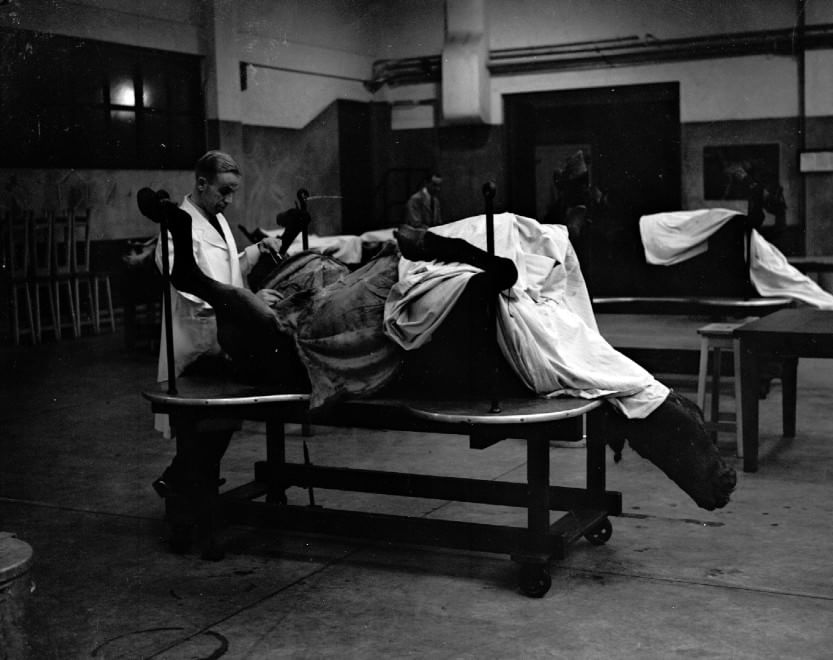 Veterinari, i migliori amici degli animali: le foto d'epoca