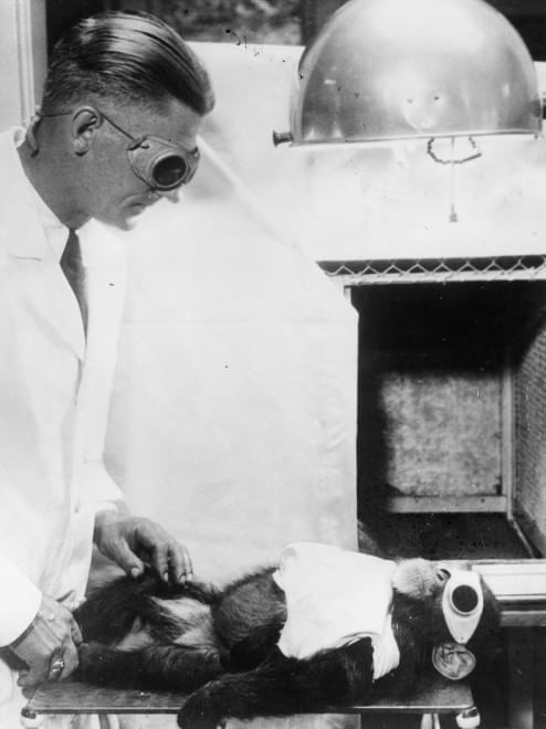 Veterinari, i migliori amici degli animali: le foto d'epoca