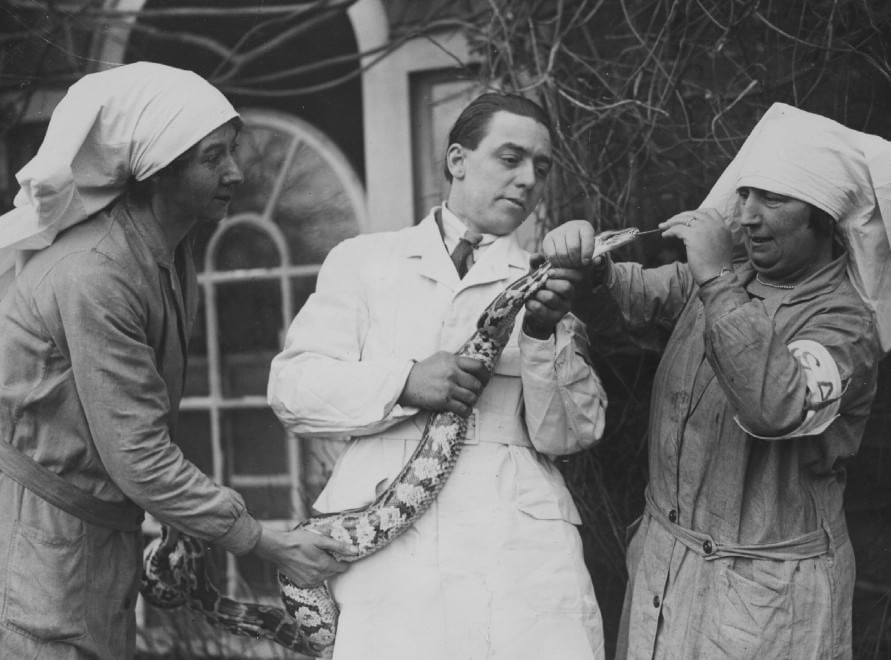 Veterinari, i migliori amici degli animali: le foto d'epoca