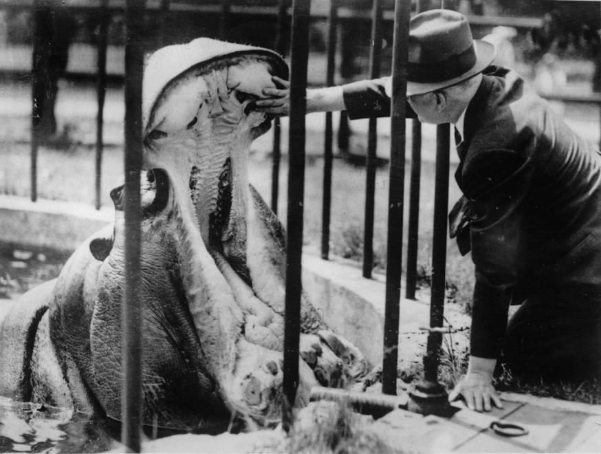 Veterinari, i migliori amici degli animali: le foto d'epoca
