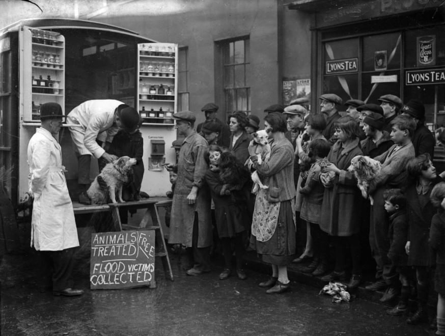 Veterinari, i migliori amici degli animali: le foto d'epoca