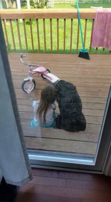 L'amore è incondizionato: il cane te lo dimostra così 