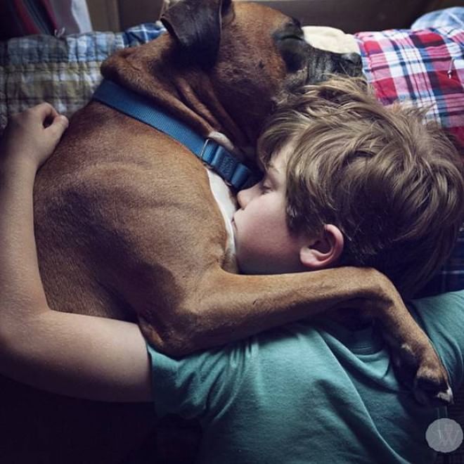 L'amore è incondizionato: il cane te lo dimostra così 