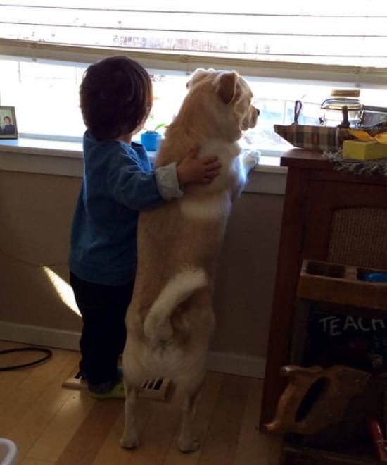L'amore è incondizionato: il cane te lo dimostra così 